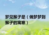 梦见猴子是（做梦梦到猴子的寓意）
