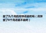放了九个月的月饼还能吃吗（月饼放了8个月还能不能吃）