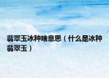 翡翠玉冰种啥意思（什么是冰种翡翠玉）