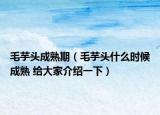 毛芋头成熟期（毛芋头什么时候成熟 给大家介绍一下）