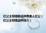 红公主柑橘新品种黄美人红公（红公主柑橘品种简介）