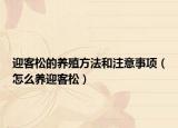 迎客松的养殖方法和注意事项（怎么养迎客松）
