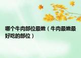 哪个牛肉部位最嫩（牛肉最嫩最好吃的部位）