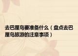 去巴厘岛要准备什么（盘点去巴厘岛旅游的注意事项）