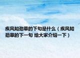 疾风知劲草的下句是什么（疾风知劲草的下一句 给大家介绍一下）