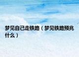 梦见自己走铁路（梦见铁路预兆什么）