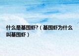 什么是基围虾?（基围虾为什么叫基围虾）