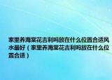 家里养海棠花吉利吗放在什么位置合适风水最好（家里养海棠花吉利吗放在什么位置合适）