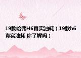 19款哈弗H6真实油耗（19款h6真实油耗 你了解吗）
