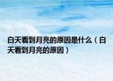 白天看到月亮的原因是什么（白天看到月亮的原因）