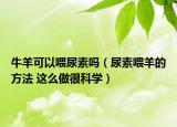 牛羊可以喂尿素吗（尿素喂羊的方法 这么做很科学）