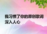 我习惯了你的原创歌词深入人心