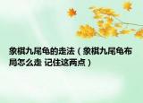 象棋九尾龟的走法（象棋九尾龟布局怎么走 记住这两点）