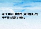 绣球 只长叶不开花（绣球花只长叶子不开花需要怎样做）