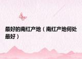 最好的南红产地（南红产地何处最好）