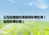 公司未缴纳社保如何补缴社保（如何补缴社保）