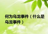 何为乌龙事件（什么是乌龙事件）