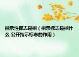 指示性标志是指（指示标志是指什么 公开指示标志的作用）