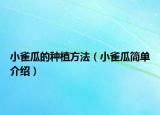 小雀瓜的种植方法（小雀瓜简单介绍）