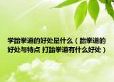 学跆拳道的好处是什么（跆拳道的好处与特点 打跆拳道有什么好处）