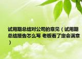 试用期总结对公司的意见（试用期总结报告怎么写 老板看了定会满意）