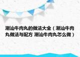 潮汕牛肉丸的做法大全（潮汕牛肉丸做法与配方 潮汕牛肉丸怎么做）