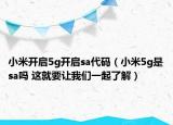 小米开启5g开启sa代码（小米5g是sa吗 这就要让我们一起了解）