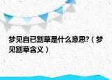 梦见自已割草是什么意思?（梦见割草含义）