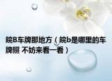 皖B车牌那地方（皖b是哪里的车牌照 不妨来看一看）
