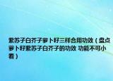紫苏子白芥子萝卜籽三样合用功效（盘点萝卜籽紫苏子白芥子的功效 功能不可小看）