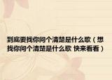 到底要找你问个清楚是什么歌（想找你问个清楚是什么歌 快来看看）