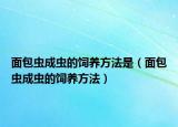面包虫成虫的饲养方法是（面包虫成虫的饲养方法）