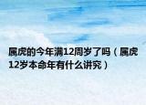 属虎的今年满12周岁了吗（属虎12岁本命年有什么讲究）