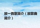 放一首歌简介（放歌曲简介）