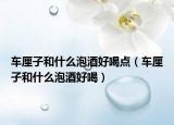 车厘子和什么泡酒好喝点（车厘子和什么泡酒好喝）