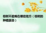 棕树不能栽在哪些地方（棕树的种植禁忌）