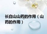 长白山山药的作用（山药的作用）