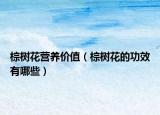棕树花营养价值（棕树花的功效有哪些）