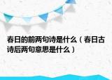 春日的前两句诗是什么（春日古诗后两句意思是什么）
