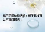 栀子花插枝能活吗（栀子花枝可以不可以插活）