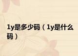 1y是多少码（1y是什么码）