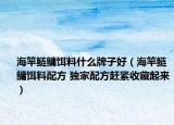 海竿鲢鳙饵料什么牌子好（海竿鲢鳙饵料配方 独家配方赶紧收藏起来）