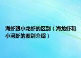 海虾跟小龙虾的区别（海龙虾和小河虾的差别介绍）