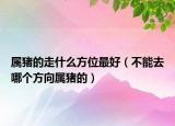 属猪的走什么方位最好（不能去哪个方向属猪的）