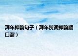 拜年押韵句子（拜年贺词押韵顺口溜）