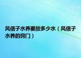 风信子水养要放多少水（风信子水养的窍门）