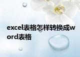 excel表格怎样转换成word表格