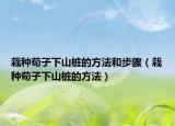 栽种荀子下山桩的方法和步骤（栽种荀子下山桩的方法）