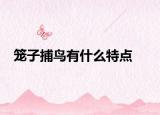 笼子捕鸟有什么特点