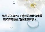 铁兰花怎么养?（铁兰花用什么土养 须知养殖铁兰花的注意事项）